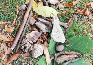 Zdjęcie przedstawia kamienie, liście, patyki, szyszkę. Przedmioty zostały zgromadzone przez dzieci, które mogły je poznawać za pomocą zmysłów: wzroku i dotyku.